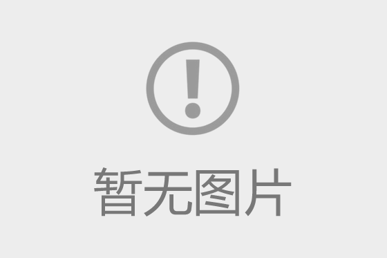 湖南財鑫集團第一黨支部：助力優(yōu)化營(yíng)商環(huán)境 信心滿(mǎn)滿(mǎn)干勁十足