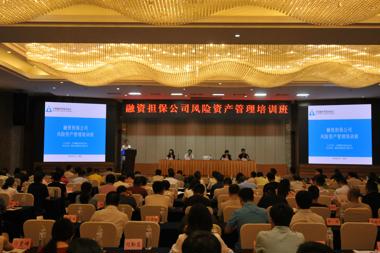 中國融資擔保業(yè)協(xié)會(huì )在重慶舉辦融資擔保公司風(fēng)險資產(chǎn)管理培訓班