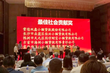 喜報！常德雙鑫小額貸款股份有限公司榮獲“湖南省小貸行業(yè)十強公司”“最佳社會(huì )貢獻獎”殊榮