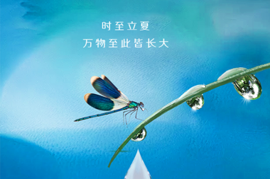 【溫暖?財鑫】立夏初至，萬(wàn)物長(cháng)大