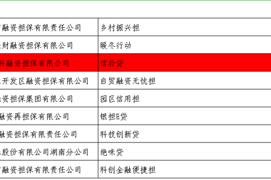 財科擔?！靶叛a貸”產(chǎn)品獲2022年湖南省融資創(chuàng  )新考評獎勵