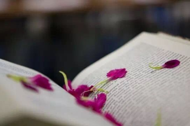 【書(shū)香·財鑫】 一盞茶·一本書(shū)·我們一起讀書(shū)