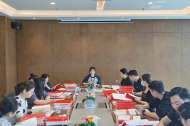財鑫集團開(kāi)展一季度黨建工作交叉檢查