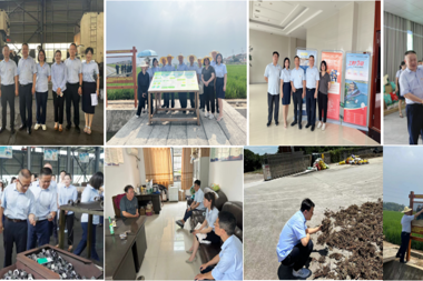 財鑫集團第二黨支部開(kāi)展主題黨日活動(dòng)